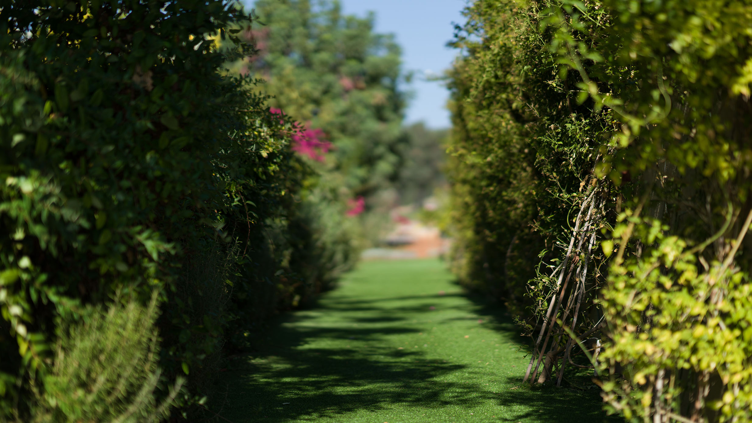 Looking through a hedgerow in the garden of Villa Rio 141 on Aphrodite Hills Resort
