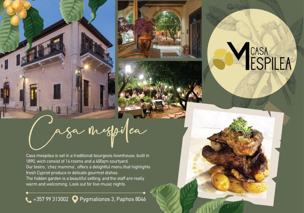 Advert for Casa Mespilea, Paphos. By Aphroditerentals.com