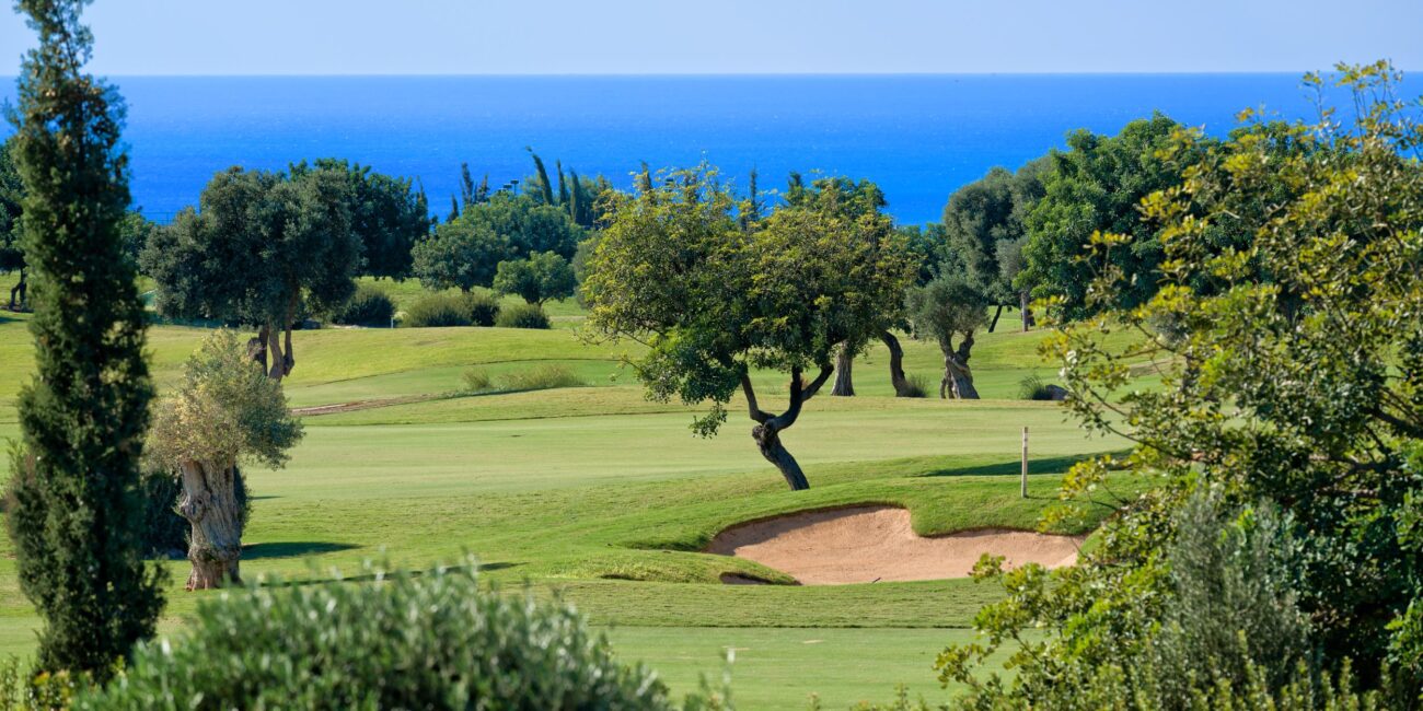 Photograph of golf course, showing bunker and trees, with the sea in the background.