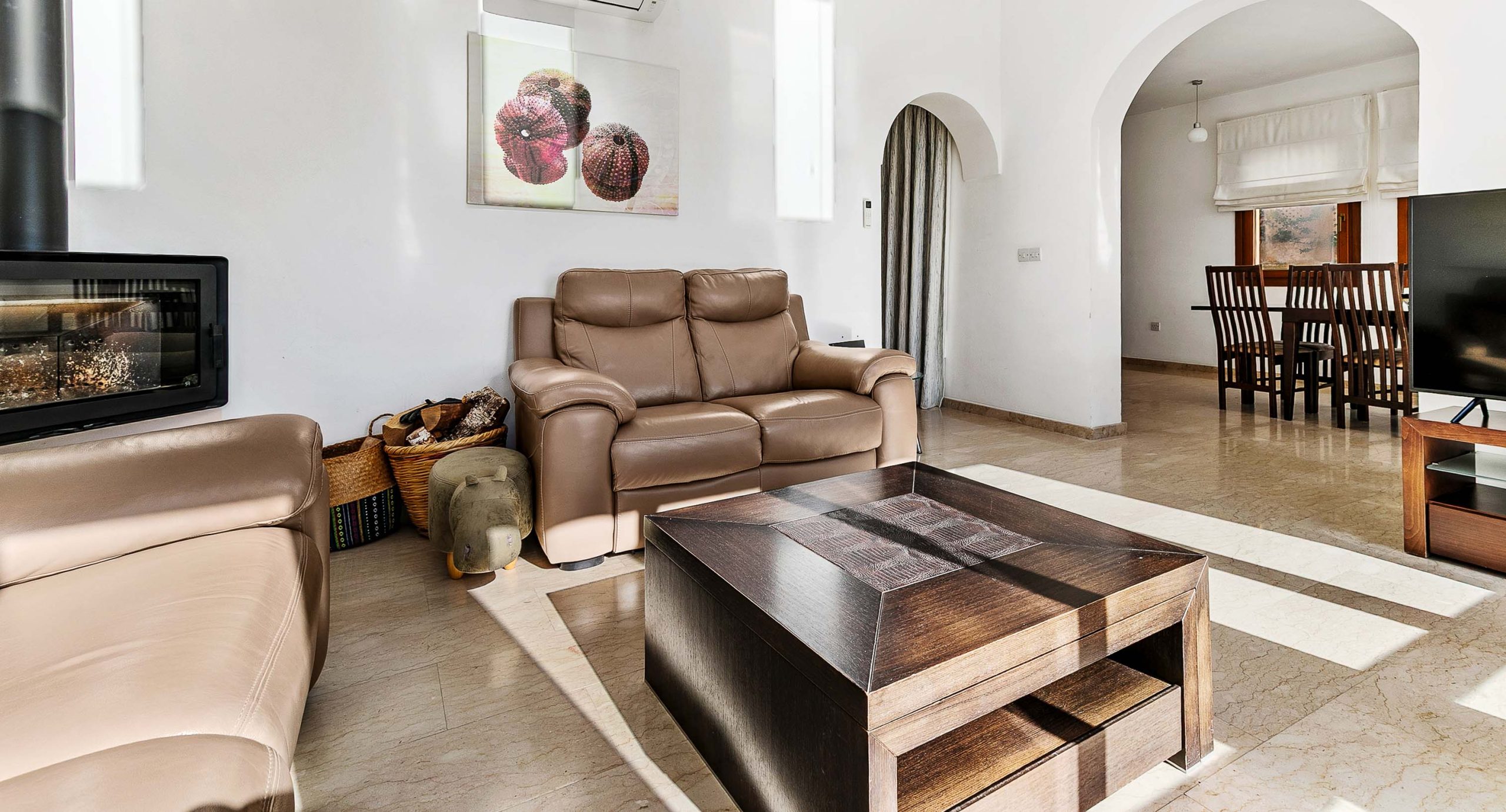 TV01 Theseus (10 of 50)